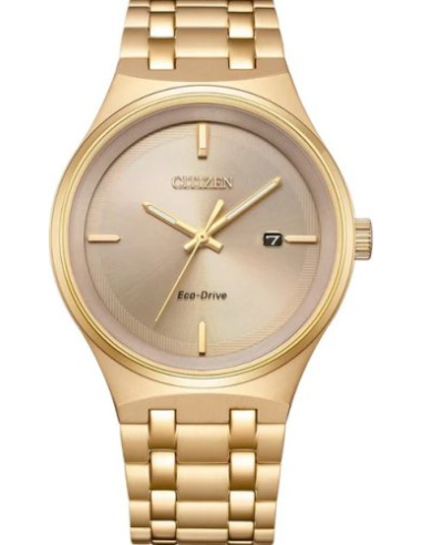 Citizen Eco-Drive BM7653-50Q Watch