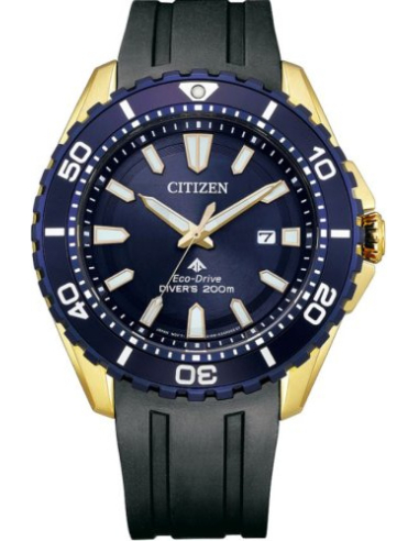 Citizen Eco-Drive BN0196-01L Watch