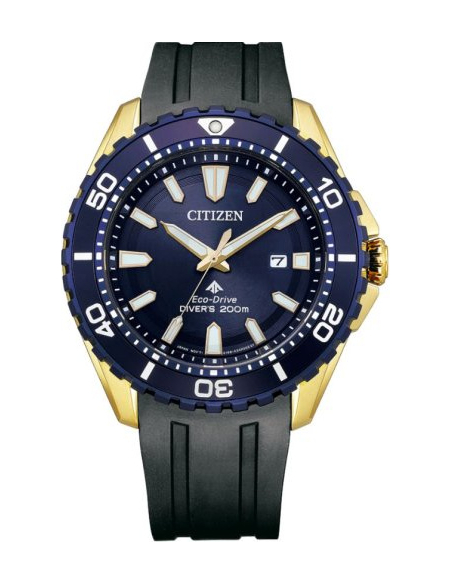 Citizen Eco-Drive BN0196-01L Watch