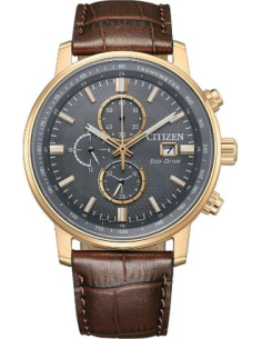 Citizen Eco-Drive CA0843-11H Watch
