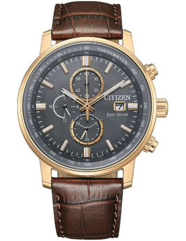 Citizen Eco-Drive CA0843-11H Watch