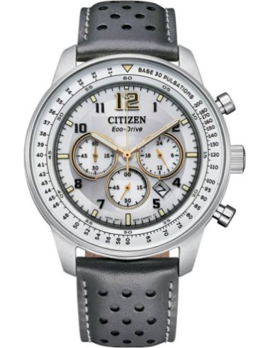 Citizen Eco-Drive CA4500-24H Watch