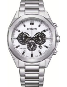 Citizen Eco-Drive CA4590-81A Watch