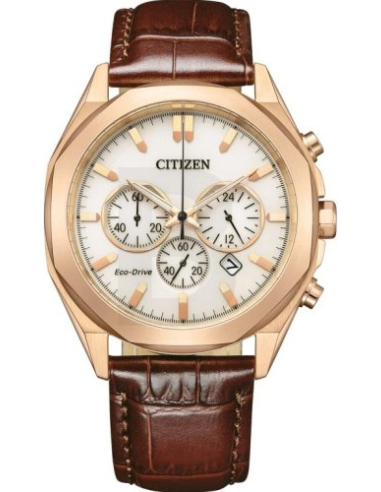 Citizen Eco-Drive CA4593-15A Watch