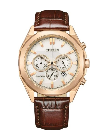 Citizen Eco-Drive CA4593-15A Watch