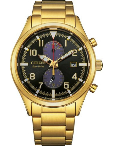 Citizen Eco-Drive CA7022-87E Watch