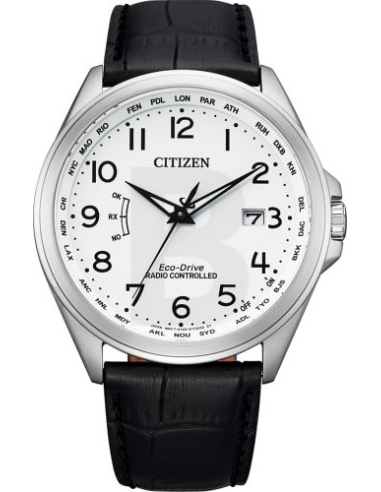 Citizen Eco-Drive CB0250-17A Watch