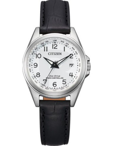 Citizen Eco-Drive EC1180-14A Watch