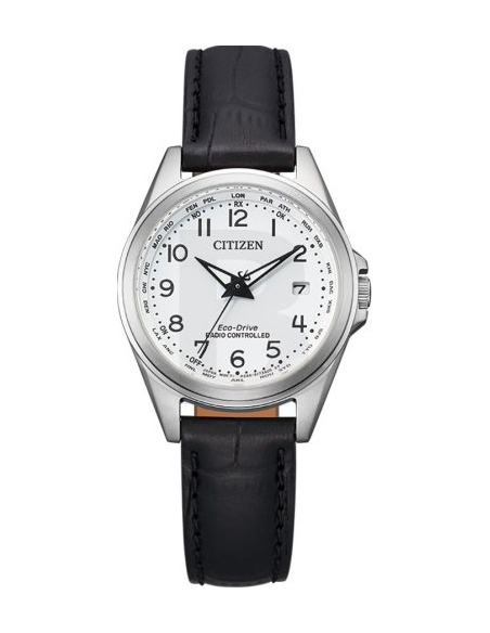 Citizen Eco-Drive EC1180-14A Watch