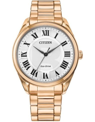Citizen Eco-Drive EM0973-55A Watch