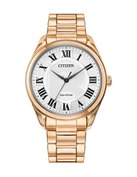 Citizen Eco-Drive EM0973-55A Watch
