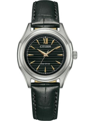 Citizen Eco-Drive FE2110-14E Watch