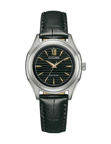 Citizen Eco-Drive FE2110-14E Watch