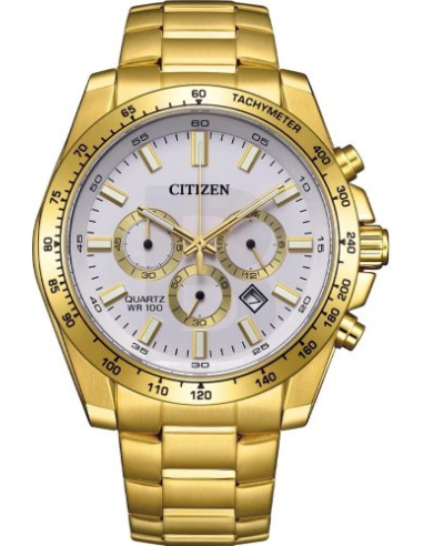 Citizen Quartz AN8232-53A Watch