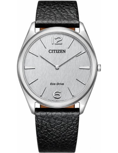 Citizen Suratto AR3120-16A Watch