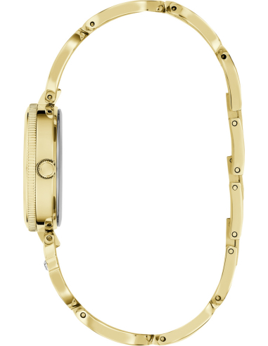 Guess Empower GW0759L2 Watch
