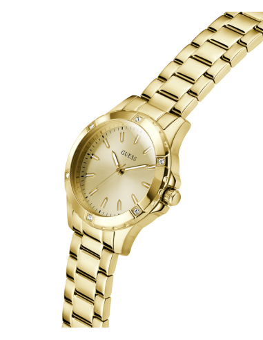 Guess Mist GW0948L2 Watch