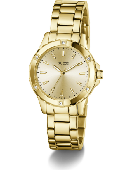 Guess Mist GW0948L2 Watch