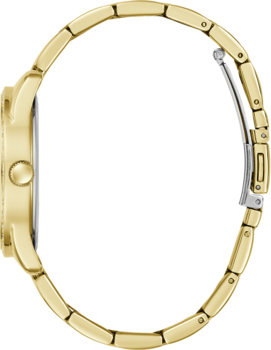 Guess Roxy GW0987L2 Watch
