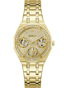 Guess Trend GW0988L2 Watch