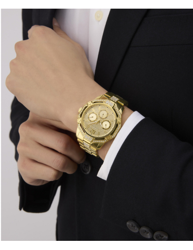 Guess Regal GW0990G2 Watch