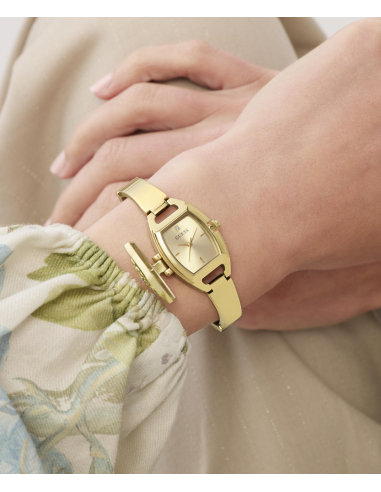 Guess Iris GW1043L2 Watch