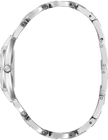 Guess Blair GW1082L1 Watch