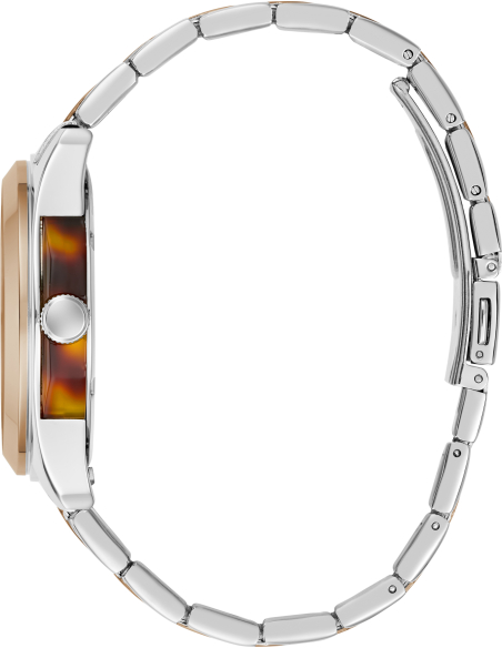 Guess Nigel GW1144G6 Watch