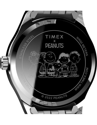 Timex Peanuts Legacy TW2V47400 Watch
