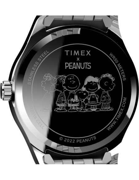 Timex Peanuts Legacy TW2V47400 Watch