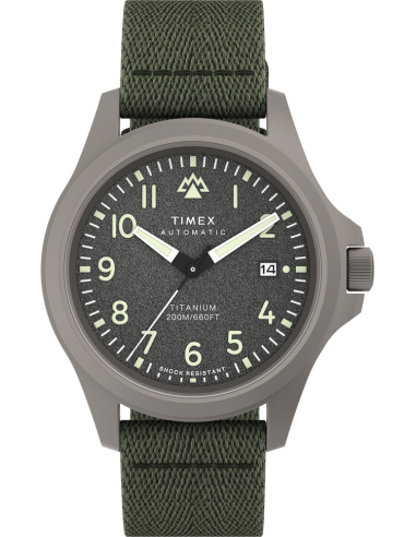 Timex Expedition Field Post TW2V95300 Watch