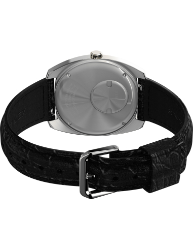 Timex Reissue TW2W44800 Watch