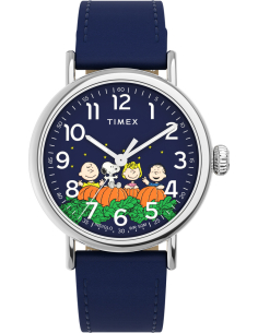 Timex Peanuts Waterbury Standard TW2W72700 Watch
