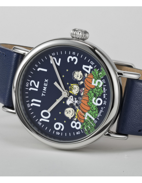 Timex Peanuts Waterbury Standard TW2W72700 Watch
