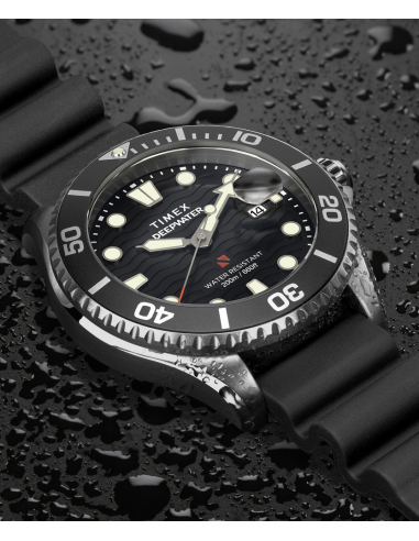 Timex Deep Water Meridian TW2W81600 Watch