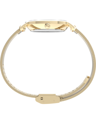 Timex Transcend TW2W87300 Watch
