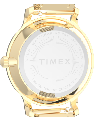 Timex Transcend TW2W87300 Watch