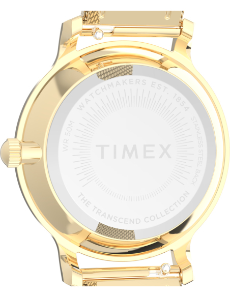 Timex Transcend TW2W87300 Watch