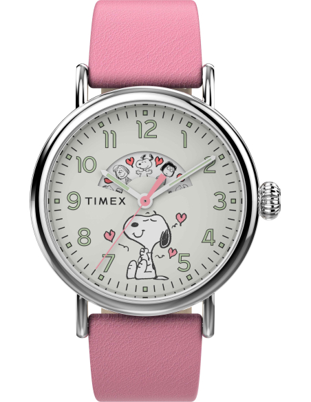 Timex Peanuts Waterbury Standard TW2W88900 Watch