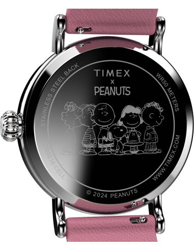 Timex Peanuts Waterbury Standard TW2W88900 Watch