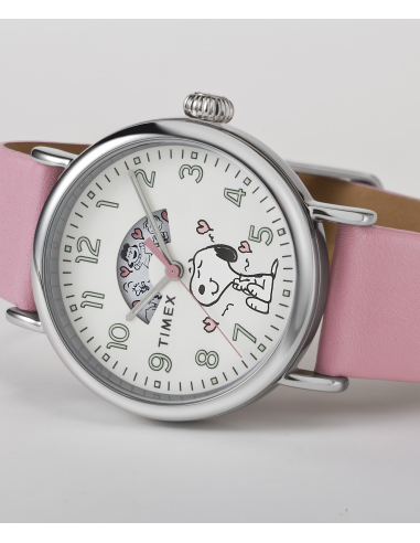 Timex Peanuts Waterbury Standard TW2W88900 Watch