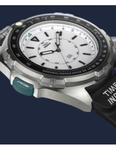 Timex Reissue TW2Y05800 Watch