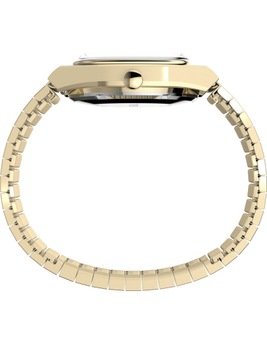 Timex E Line TW2Y07200 Watch