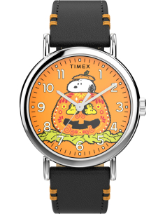 Timex Peanuts Weekender Main Line TW2Y12300 Watch