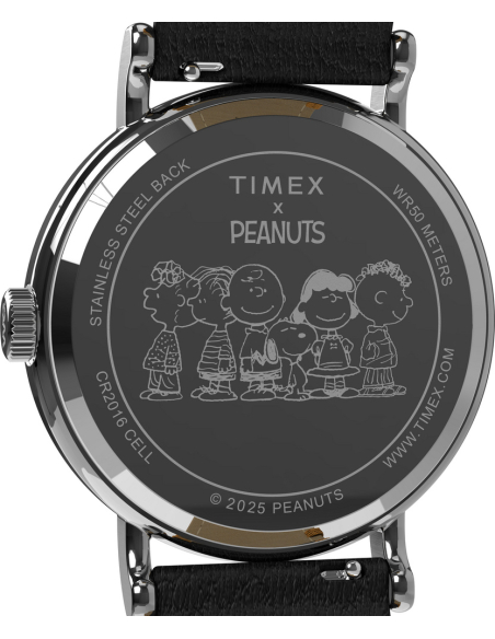 Timex Peanuts Weekender Main Line TW2Y12300 Watch