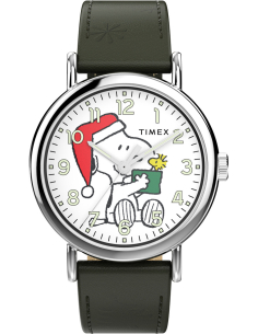 Timex Peanuts Weekender Main Line TW2Y12400 Watch