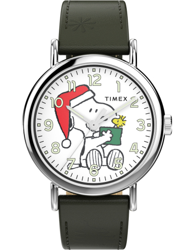 Timex Peanuts Weekender Main Line TW2Y12400 Watch
