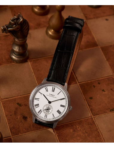 Timex Waterbury Metropolitan TW2Y23100 Watch