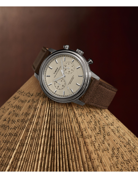 Timex Waterbury Metropolitan TW2Y23500 Watch