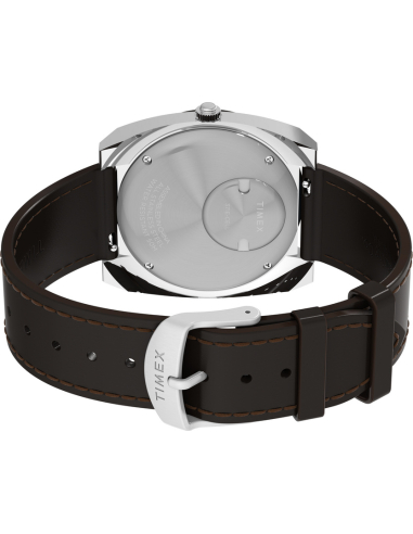 Timex Q Vintage-Inspired TW2Y31300 Watch